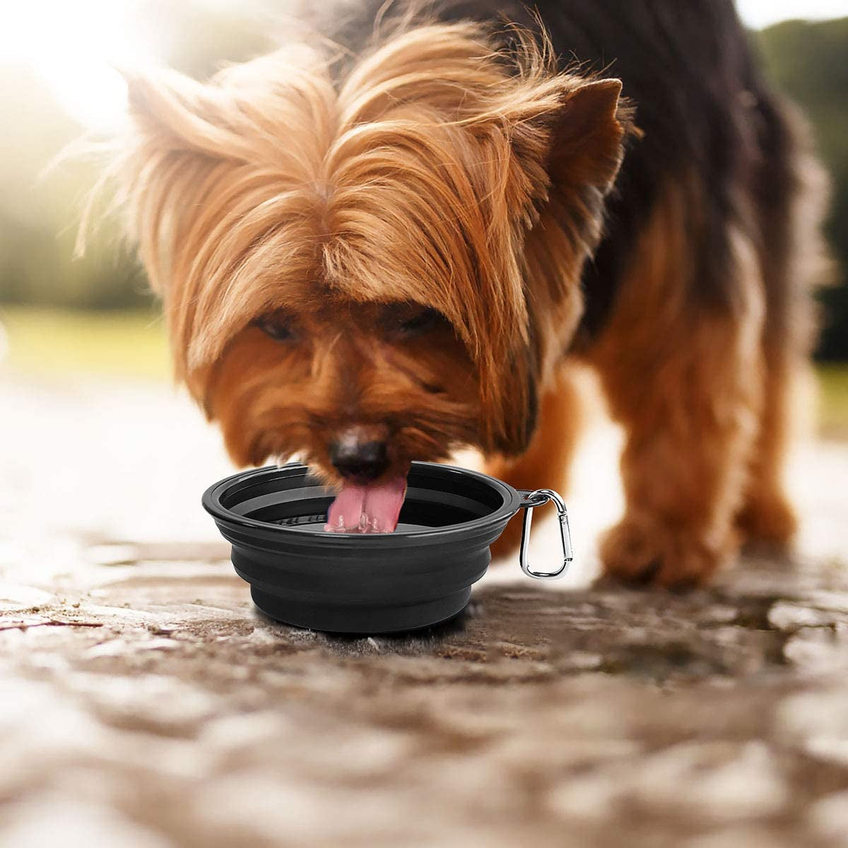 Large Collapsible Dog Bowls 2 Pack, 34Oz Foldable Dog Travel Bowl, Portable Pet Water Food Bowl with Clasp, Pet Cat Feeding Cup Dish for Traveling, Walking, Hiking (Black+Balck)