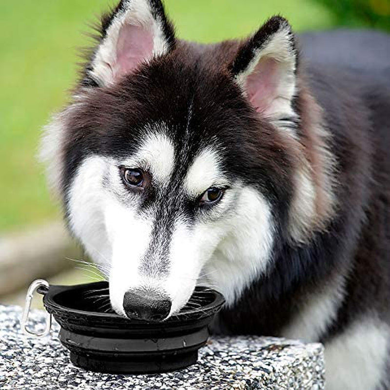 Large Collapsible Dog Bowls 2 Pack, 34Oz Foldable Dog Travel Bowl, Portable Pet Water Food Bowl with Clasp, Pet Cat Feeding Cup Dish for Traveling, Walking, Hiking (Black+Balck)